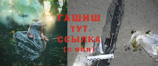 гашик Алексеевка