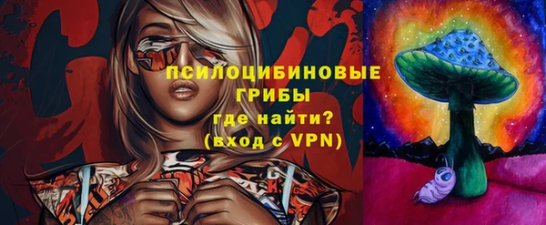гашик Алексеевка