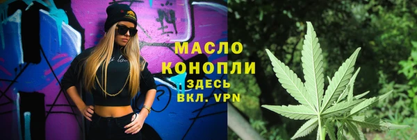 гашик Алексеевка