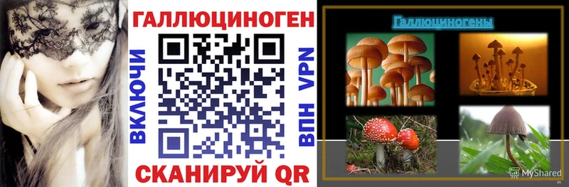 Псилоцибиновые грибы мицелий  наркота  это Telegram  Долинск 